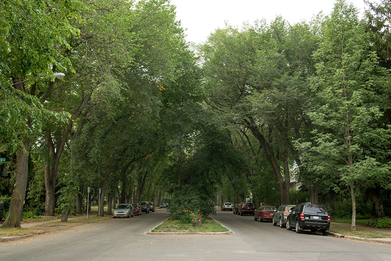 Nutana Real Estate Homes For Sale in Nutana