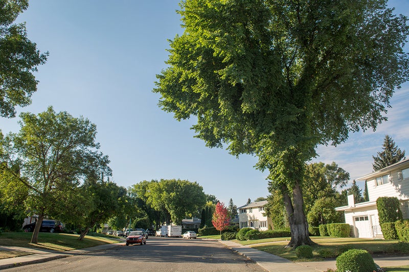 Nutana Park Real Estate Homes For Sale in Nutana Park