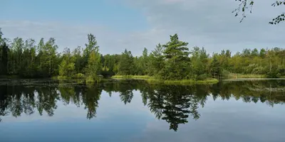 Lakeland Cottage Season: What to Expect This Summer