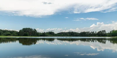 Summer in Lakeland: What Makes This Area So Popular