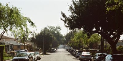 Tree-lined residential street with mature trees, established homes and parked cars.