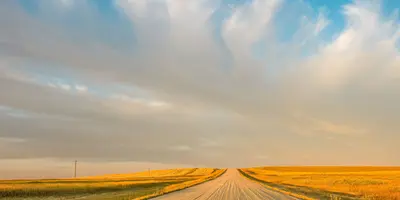 Golden prairie fields and a rural gravel road under a dramatic blue sky.