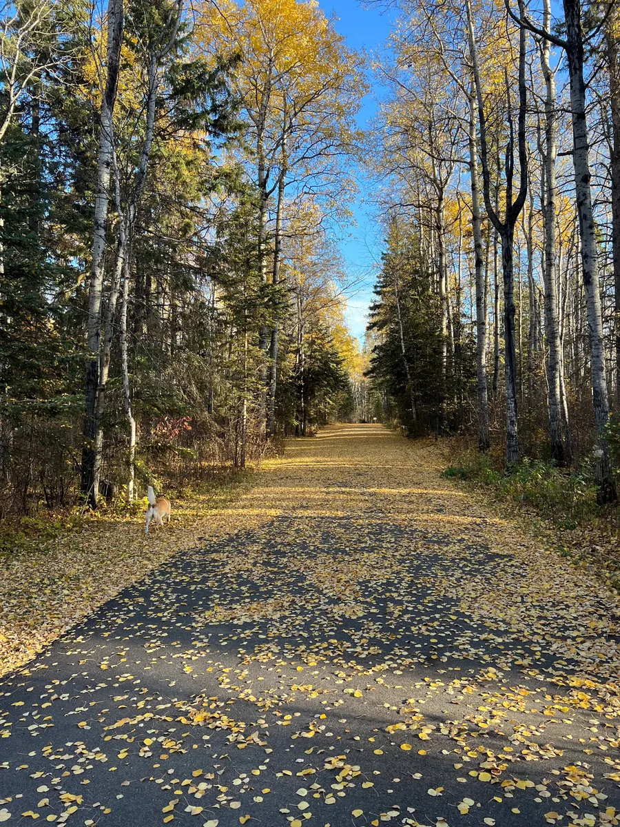 Emma Lake Camp Ground fall day