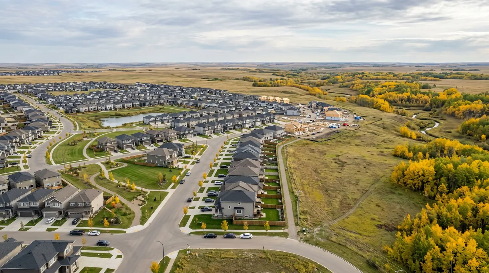 Aerial of new Aspen Ridge homes and townhomes beside open prairie grassland and yellow aspen groves
