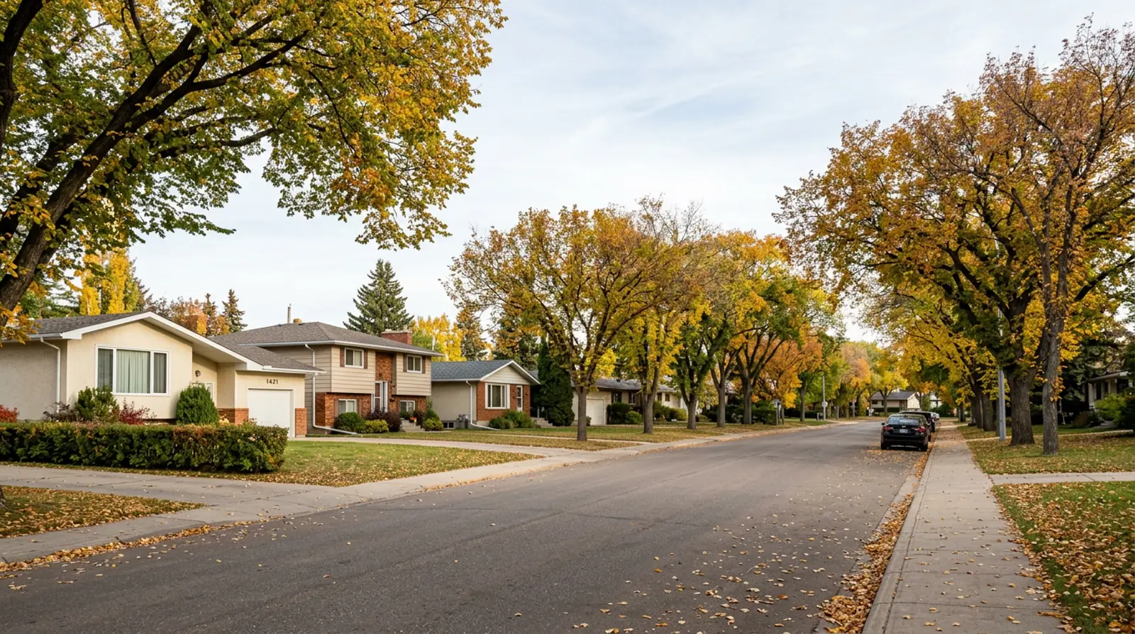 Tree-lined Brevoort Park street of 1960s and 1970s bungalows and split-levels with fall leaves in Saskatoon