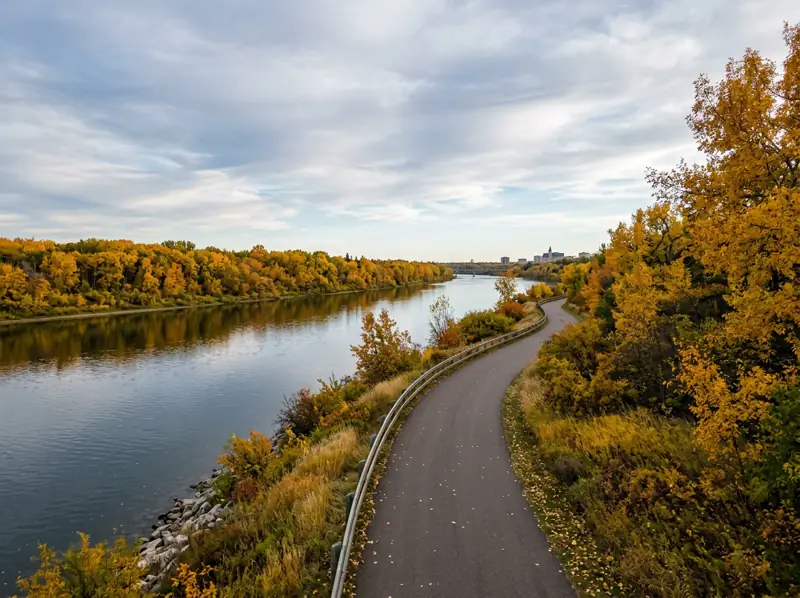 Paved riverside trail lined with golden trees along the river near North Park, Saskatoon