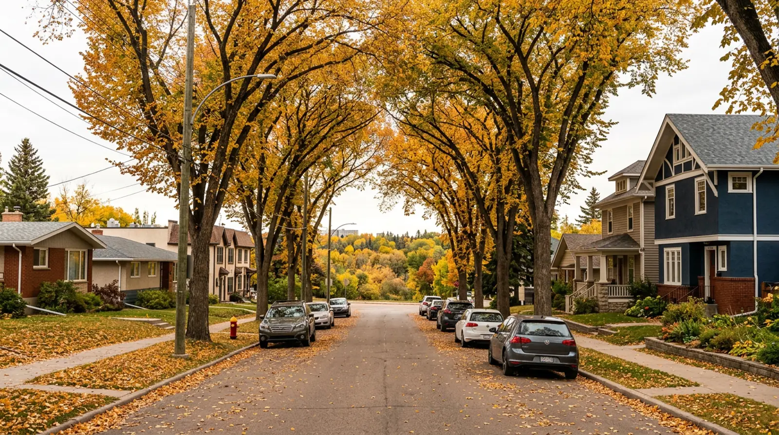 North Park Saskatoon street of heritage homes and bungalows under golden elms near the river valley