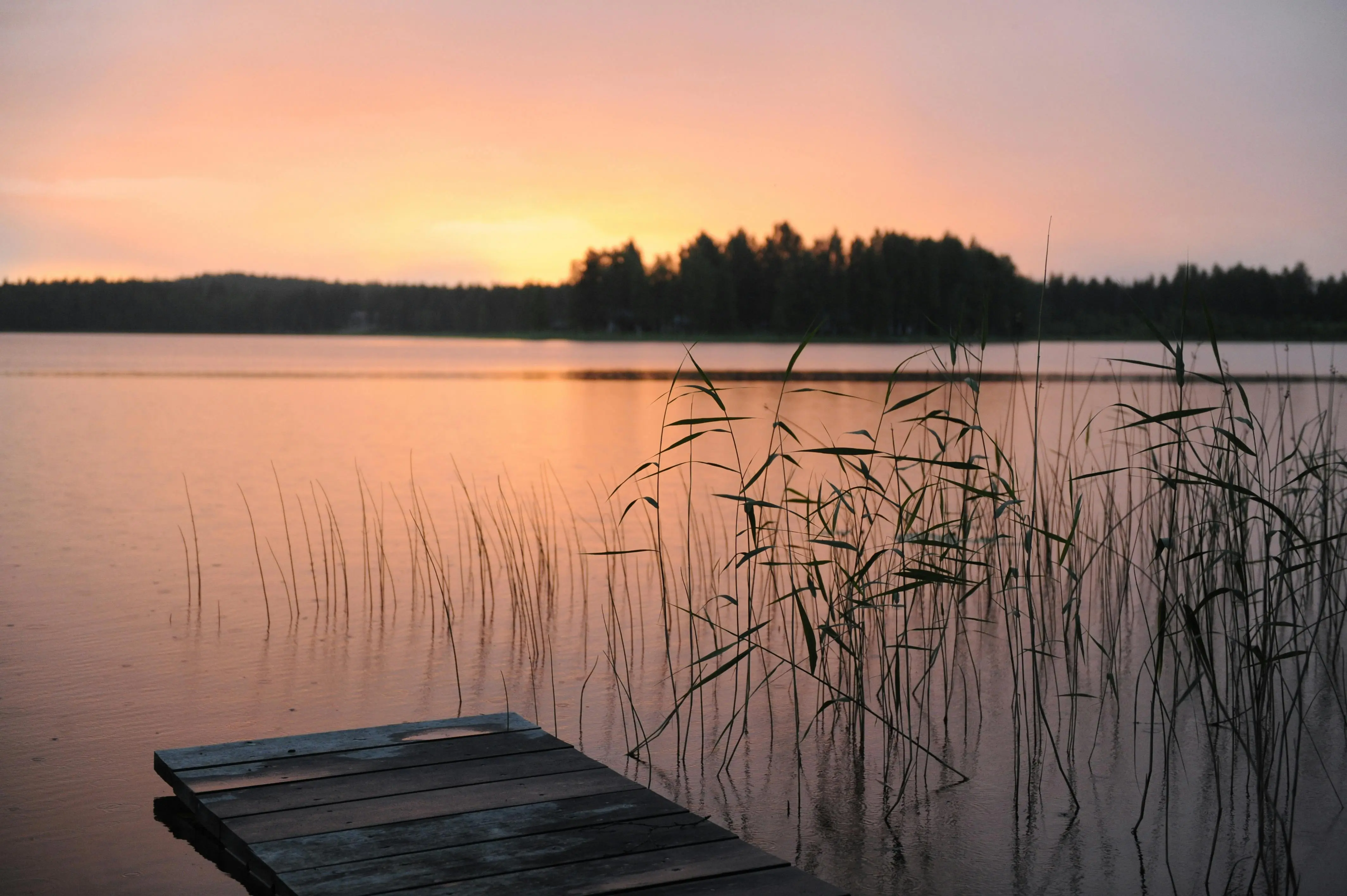 Sunnyside at Emma Lake offers cozy cabins, sandy beaches, and lakeside charm for families and cottage lovers.