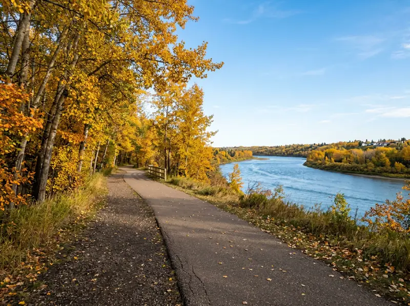 River valley trail lined with golden aspens beside the South Saskatchewan River near Silverwood Heights